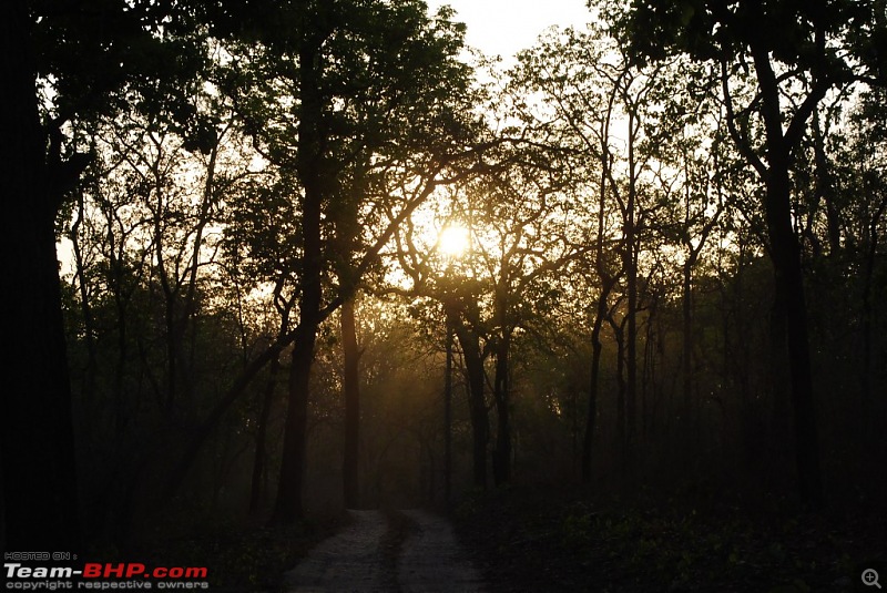 The Wild Beckons: Bhopal-Bhedaghat-Dhuandhar-Kanha-jungle2.jpg