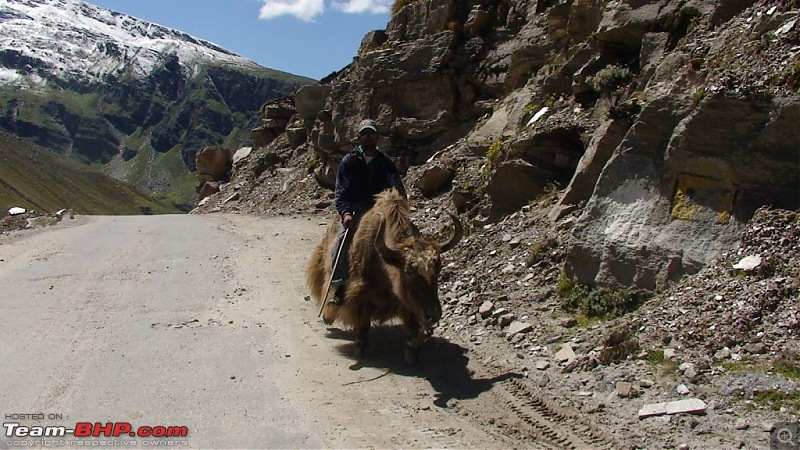 The Spiti Loop > done differently - 7900kms-dsc00758.jpg