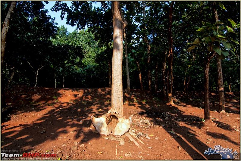 Orissa's Unknown Forests [Kolkata-Kuldia-Satkosia-Bangriposi-Kolkata] -->> Part 2-kuldiha9.jpg