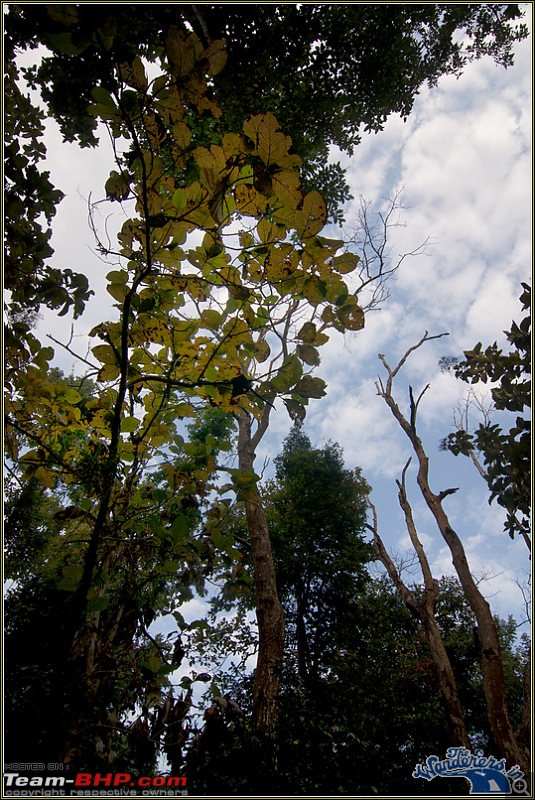 Orissa's Unknown Forests [Kolkata-Kuldia-Satkosia-Bangriposi-Kolkata] -->> Part 2-kuldiha11.jpg