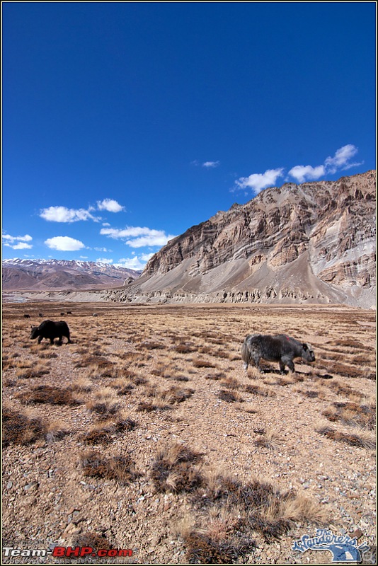 Self-Drive Expedition Travel-Ladakh and cold desert Changthang in "off-season" Oct 10-img_3000.jpg
