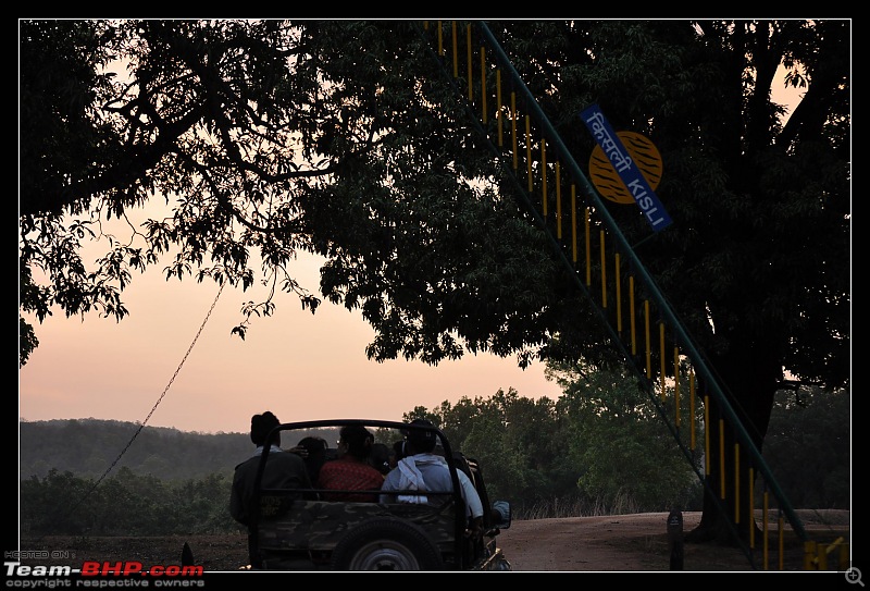 A Nikon D5000 in the land of the tiger - Kanha National Park visit.-dsc_0088.jpg