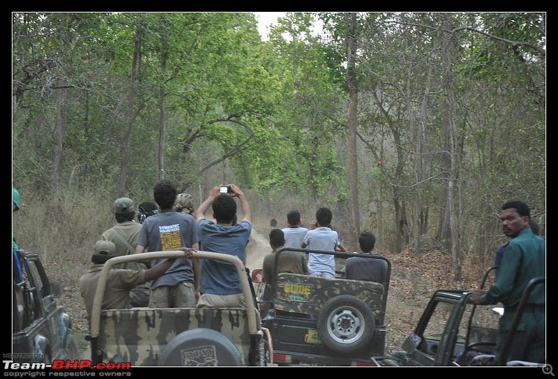 A Nikon D5000 in the land of the tiger - Kanha National Park visit.-dsc_0445.jpg
