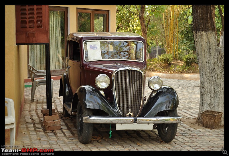 A Nikon D5000 in the land of the tiger - Kanha National Park visit.-dsc_0972.jpg