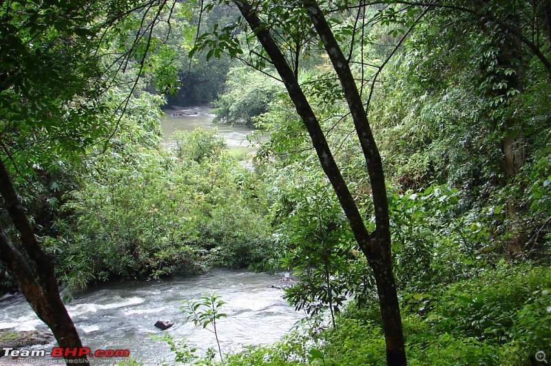 The road truly  less traveled in trail of the monsoon : Ambanad Estate Sojourn*-dsc07543.jpg