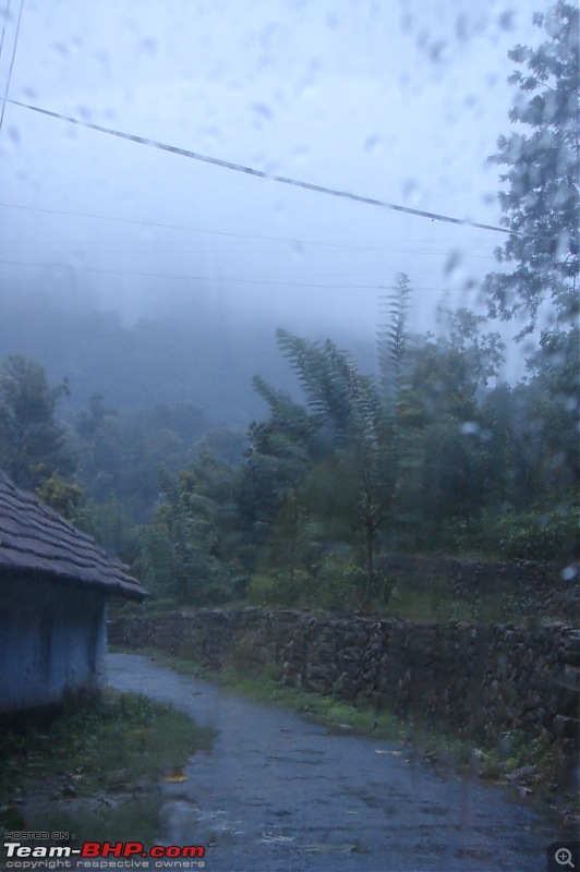 The road truly  less traveled in trail of the monsoon : Ambanad Estate Sojourn*-dsc07574.jpg