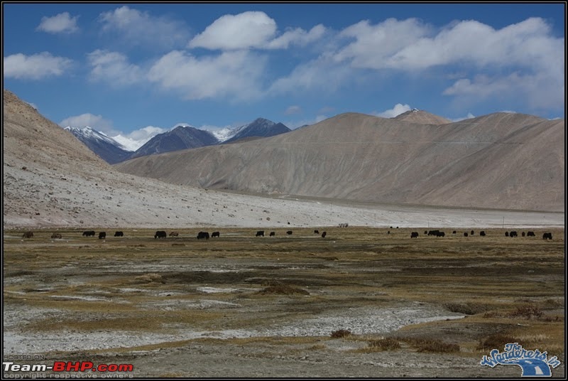 Self-Drive Expedition Travel-Ladakh and cold desert Changthang in "off-season" Oct 10-ladakh-changthang124.jpg