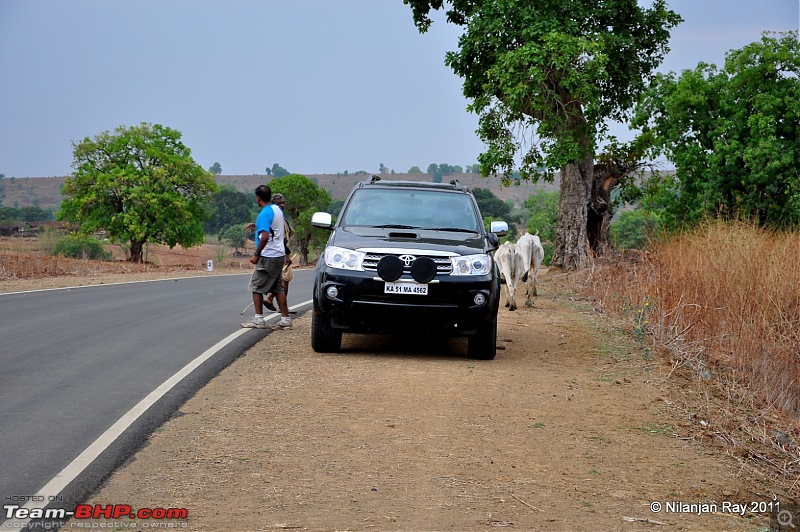 Call of the Wild: A 3500 km roadtrip to Pench, Bandhavgarh and Kanha in a Fortuner-dsc_5649.jpg