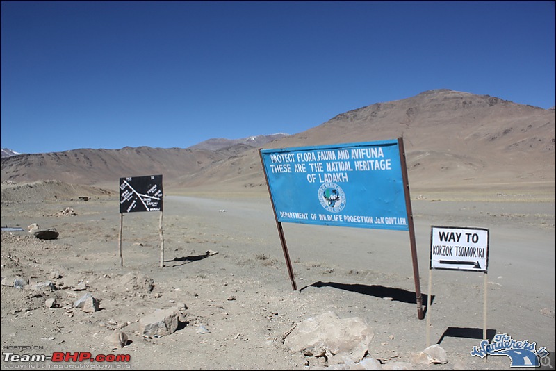 Self-Drive Expedition Travel-Ladakh and cold desert Changthang in "off-season" Oct 10-img_5316.jpg