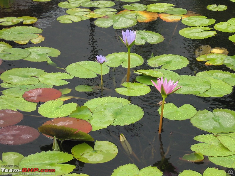 Quick Rainy Day Getaway - Hadshi Temple-img_1973.jpg