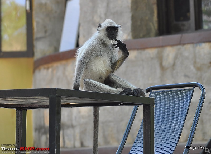 Call of the Wild: A 3500 km roadtrip to Pench, Bandhavgarh and Kanha in a Fortuner-dsc_7058.jpg