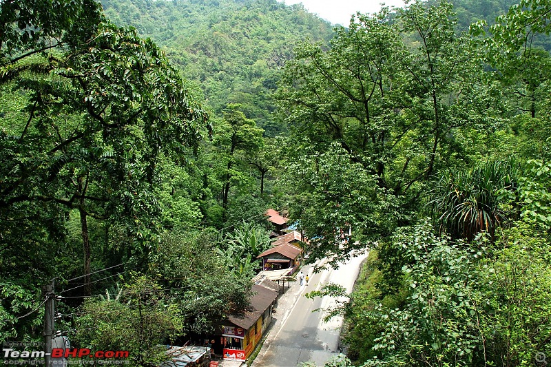 mountains, forests, rains and a little trouble-2.jpg