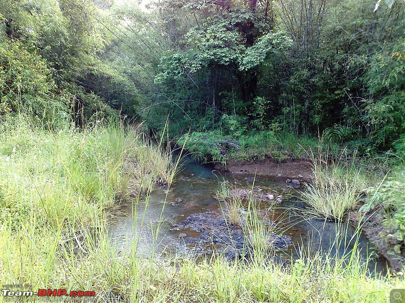 Tadoba Andhari Tiger Reserve-05102008097.jpg