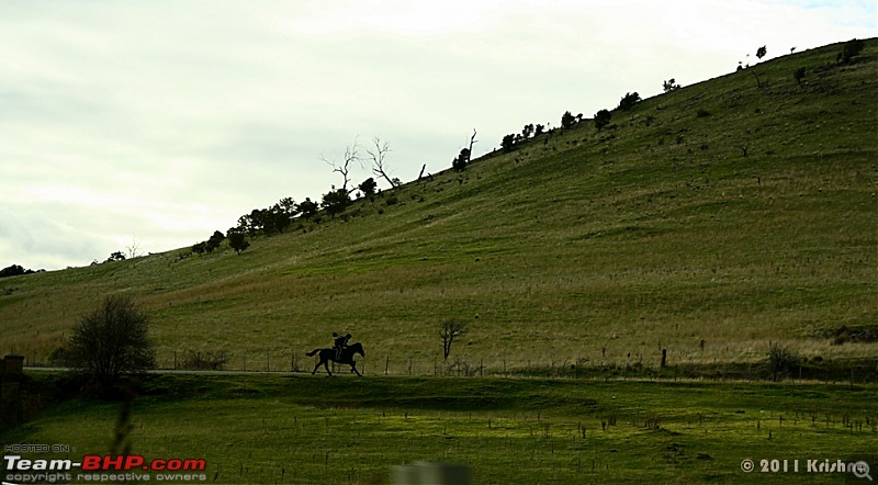 Tasmania - The Beautiful Island State of Australia-img_5942.jpg