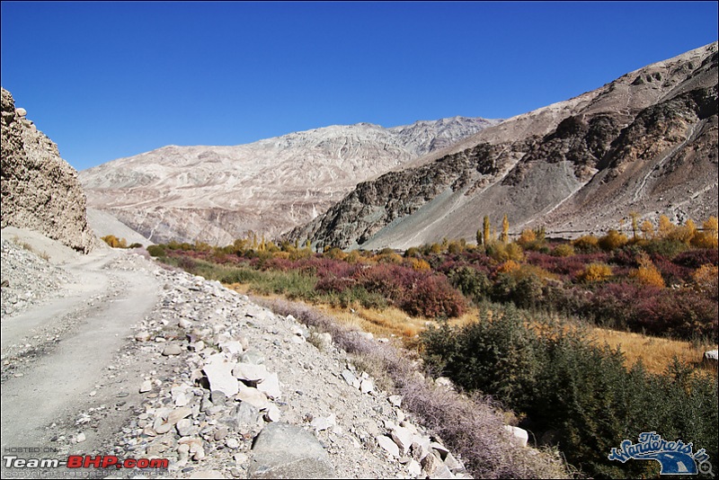 Self-Drive Expedition Travel-Ladakh and cold desert Changthang in "off-season" Oct 10-img_5858.jpg