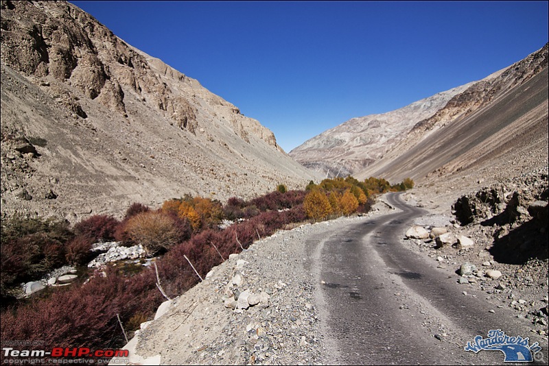 Self-Drive Expedition Travel-Ladakh and cold desert Changthang in "off-season" Oct 10-img_5872.jpg