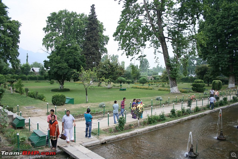 Kashmir : Nature's bewitching drama !!-img_0310.jpg