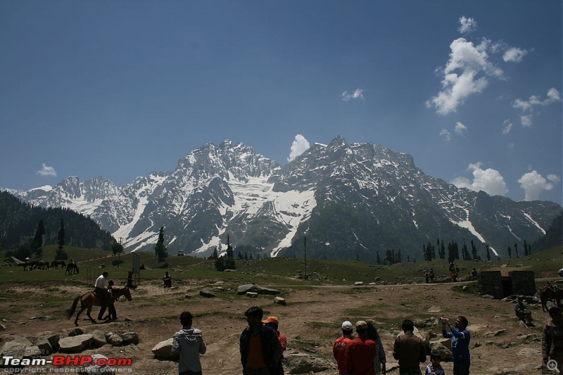 Kashmir : Nature's bewitching drama !!-img_0456.jpg