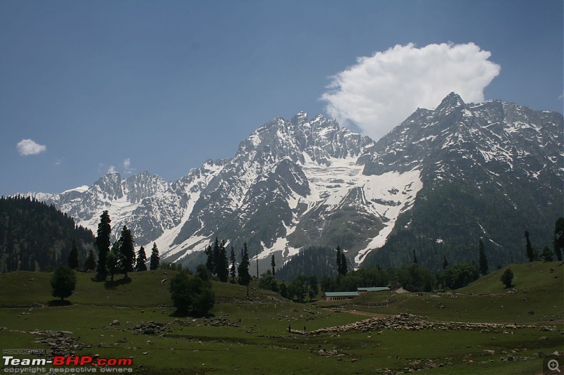 Kashmir : Nature's bewitching drama !!-img_0459.jpg