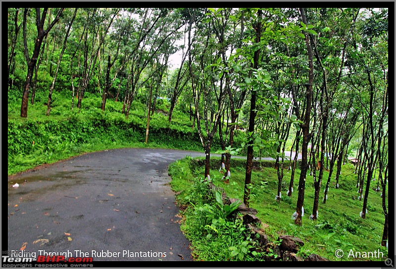 In Search Of The God  In Gods Own Country, Kerala-img_0064-2.jpg