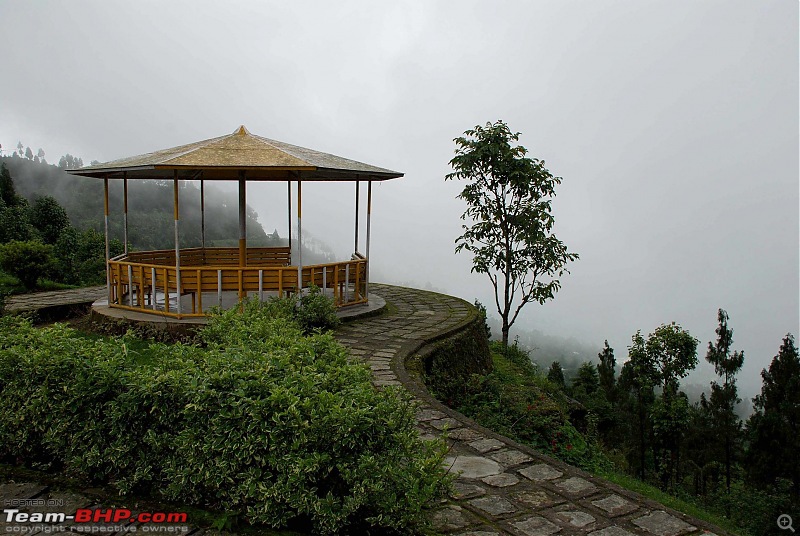 mountains, forests, rains and a little trouble-12.jpg