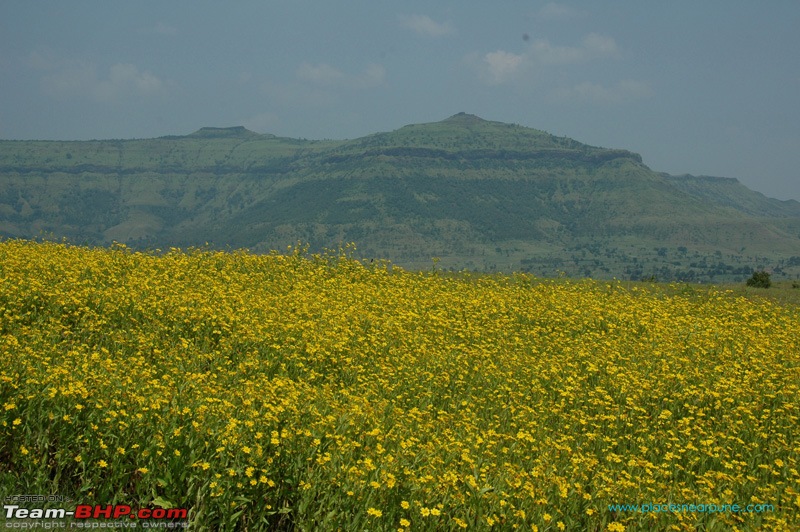 Magnificent Maharashtra - The Mahalog!-dsc_4172.jpg