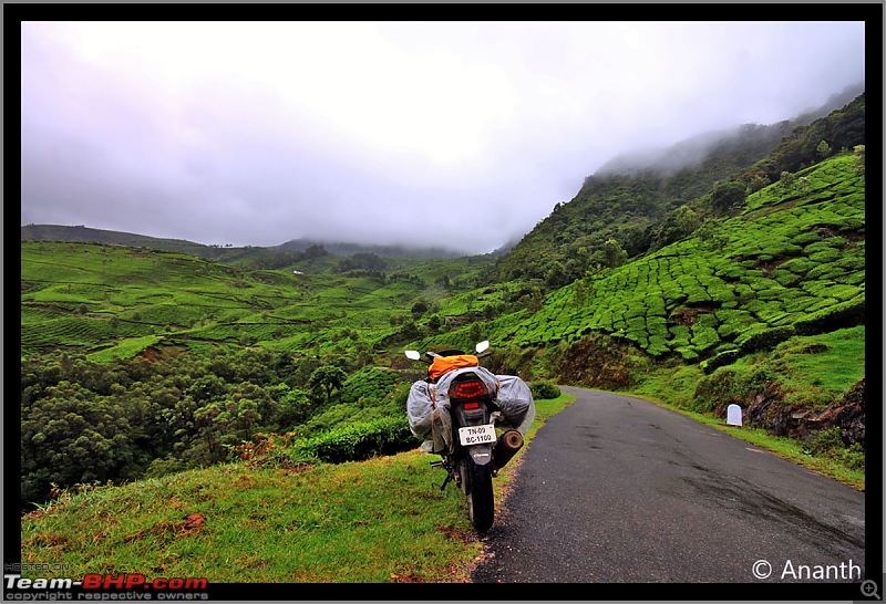 In Search Of The God  In Gods Own Country, Kerala-img_03492.jpg