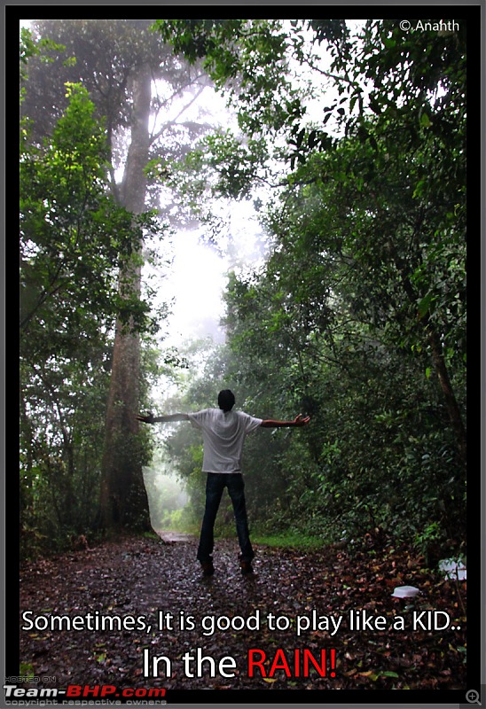 In Search Of The God  In Gods Own Country, Kerala-img_0695.jpg