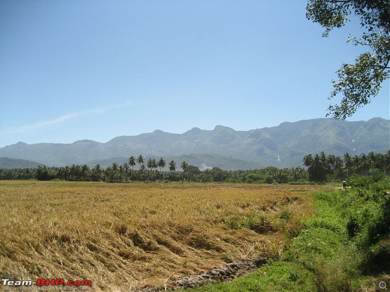 Yet another visit to God's Own Country - MUNNAR!!!-img_4100.jpg