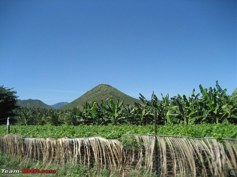 Yet another visit to God's Own Country - MUNNAR!!!-img_4114.jpg