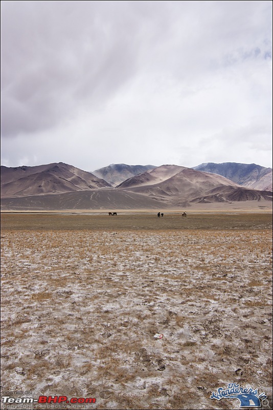 Self-Drive Expedition Travel-Ladakh and cold desert Changthang in "off-season" Oct 10-img_6405.jpg