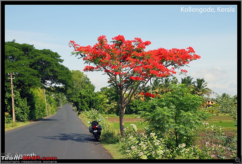 In Search Of The God  In Gods Own Country, Kerala-img_0001.jpg