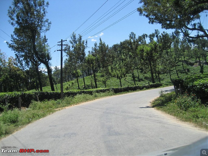 Yet another visit to God's Own Country - MUNNAR!!!-img_4271.jpg