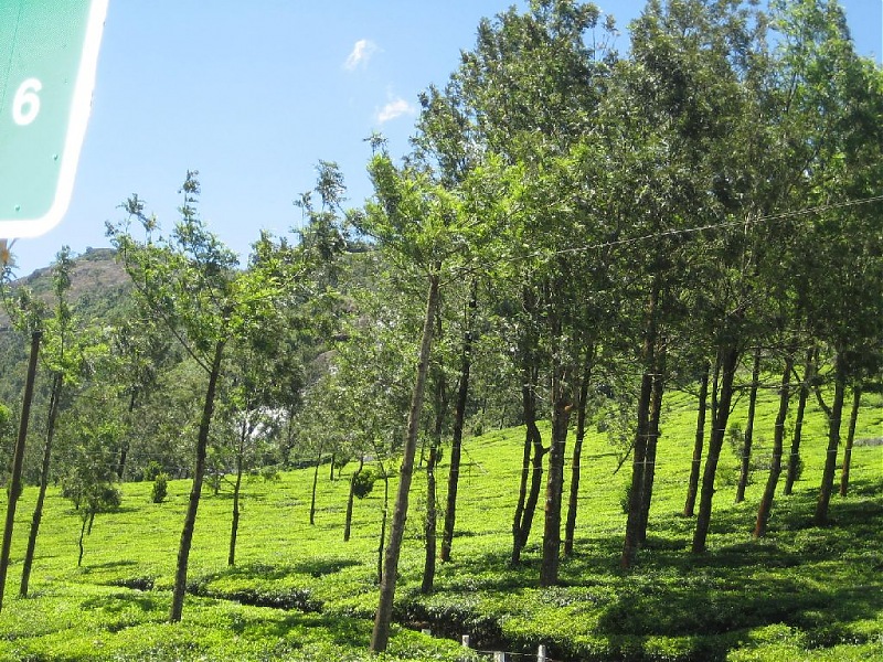 Yet another visit to God's Own Country - MUNNAR!!!-img_4328.jpg