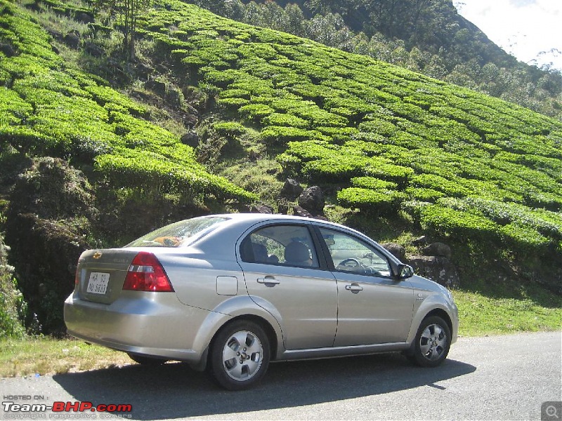 Yet another visit to God's Own Country - MUNNAR!!!-img_4383.jpg