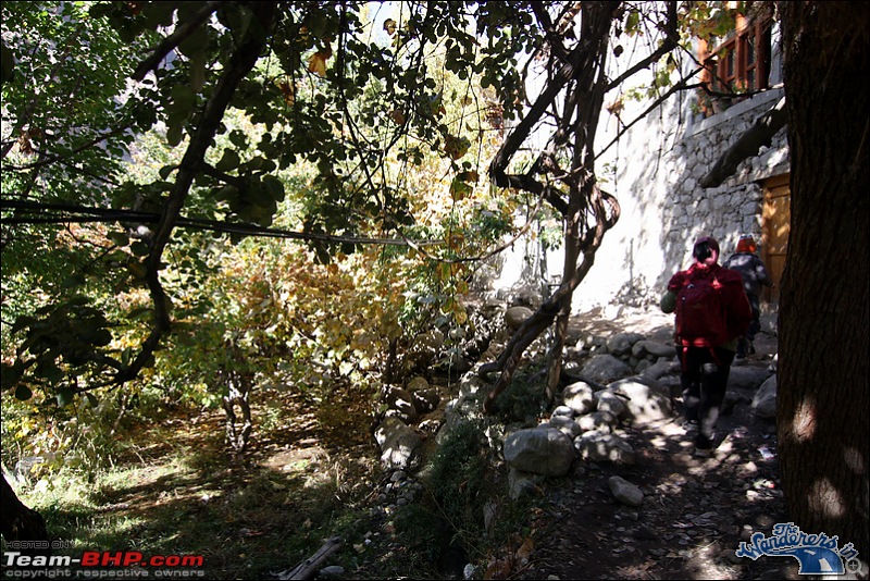 Self-Drive Expedition Travel-Ladakh and cold desert Changthang in "off-season" Oct 10-img_7663.jpg