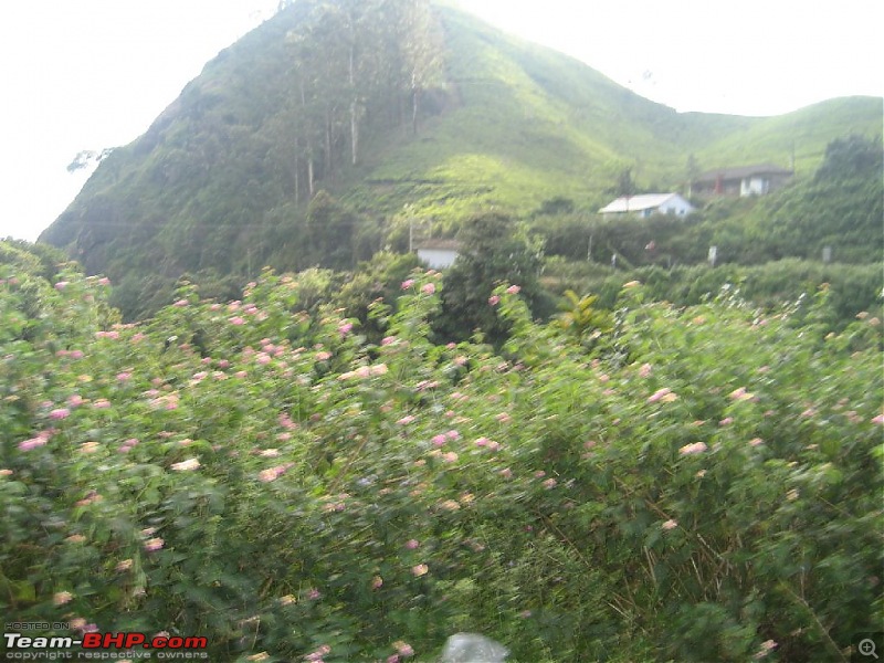 Yet another visit to God's Own Country - MUNNAR!!!-img_4401.jpg