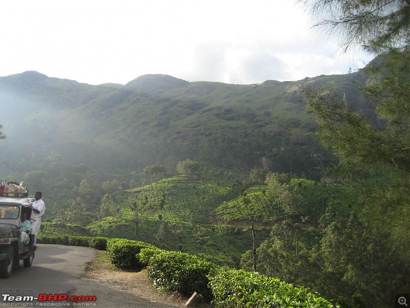 Yet another visit to God's Own Country - MUNNAR!!!-img_4413.jpg