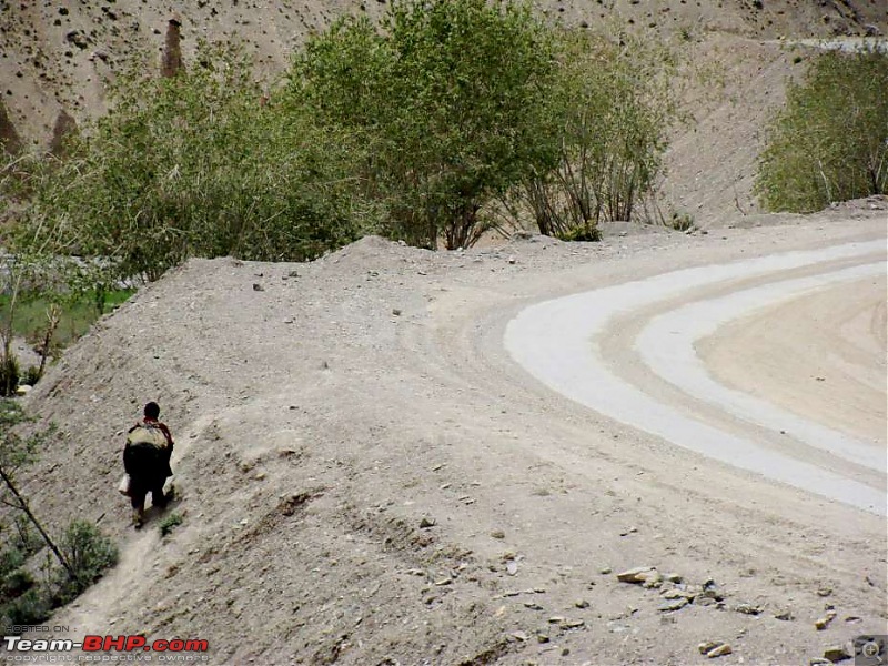 Hawk-On-Fours (H-4) Roadtrip:  Leh(t)'s go to Ladakh & Srinagar with QuickSilver.-fotu-la-1k100.jpg
