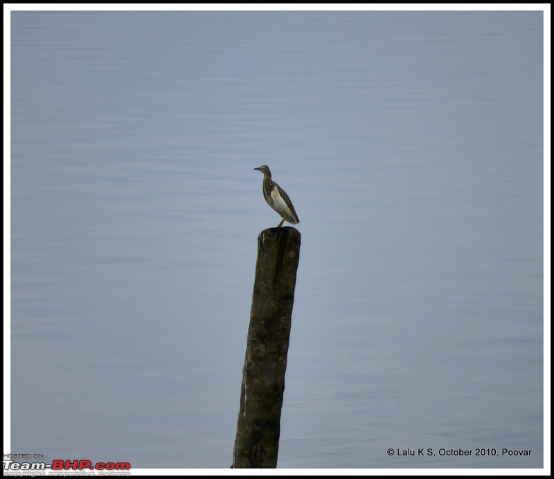 Civved : Poovar-_dsc3486.jpg