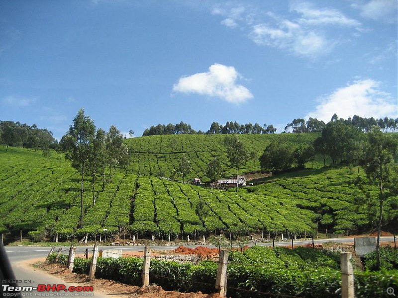 Yet another visit to God's Own Country - MUNNAR!!!-img_4463.jpg