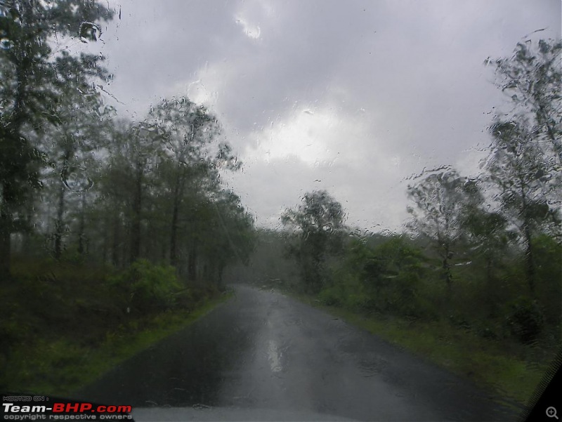 Operation Tiger: Wayanad-back-bangalore3.jpg