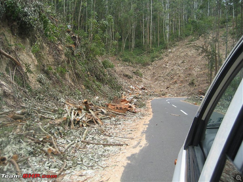 Yet another visit to God's Own Country - MUNNAR!!!-img_4542.jpg