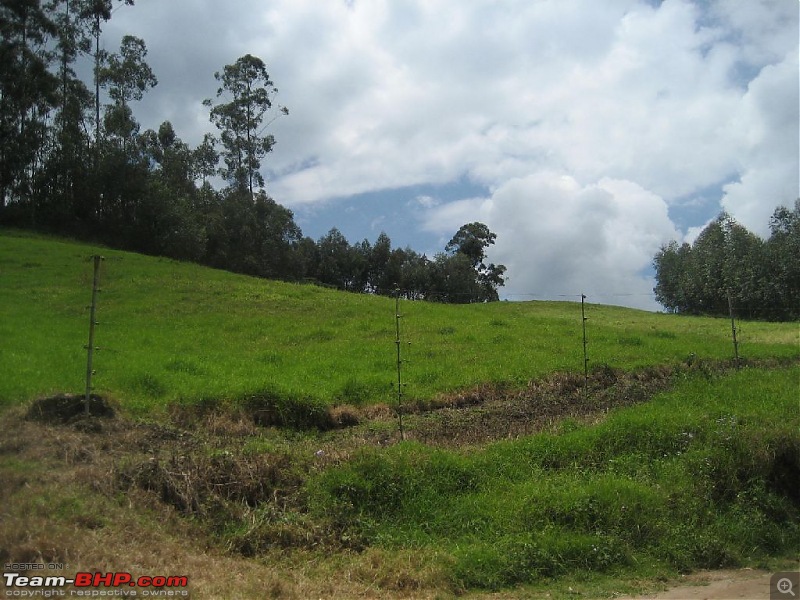 Yet another visit to God's Own Country - MUNNAR!!!-img_4549.jpg