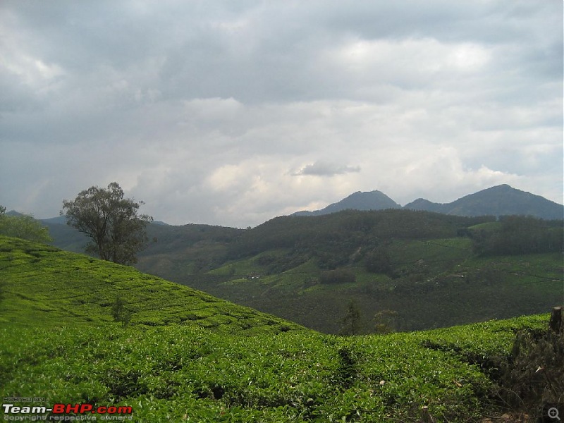 Yet another visit to God's Own Country - MUNNAR!!!-img_4592.jpg