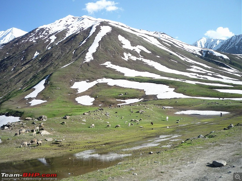 Bangalore to Ladakh in a Maruti Ritz (27 May to 16th June 2011)-day_9_lmx_25.jpg