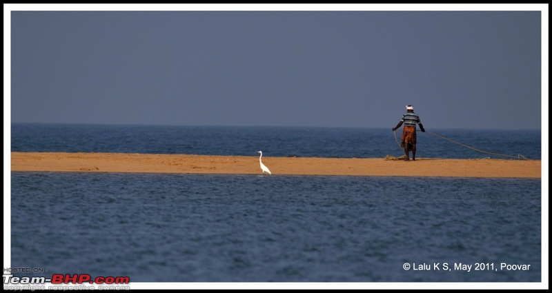 Civved : Poovar-dsc_7432.jpg