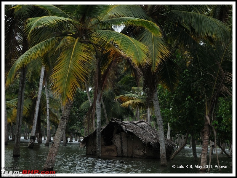 Civved : Poovar-dsc_7609.jpg