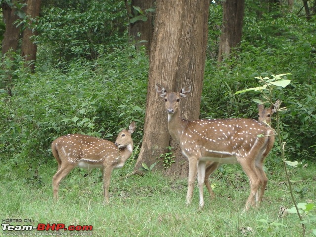 Beautiful Karnataka - 1300 Kms of Monsoon Magic-dsc04200.jpg