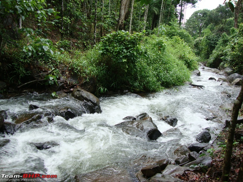 My Sojourn - Chennai to Wayanad via Mysore-dsc01335.jpg